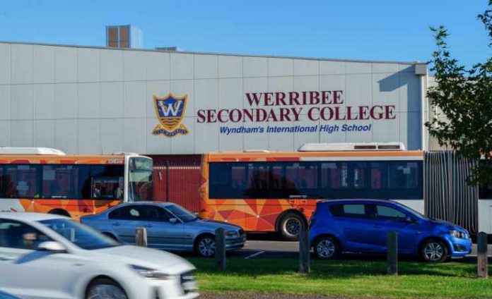 weeribeesc